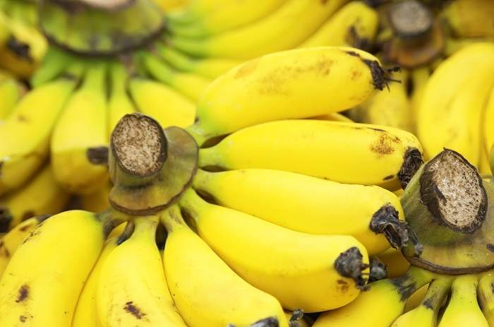 peruvian banana suppliers